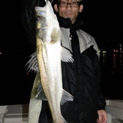 Marine T Design　マリンティーデザイン 釣果