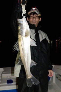 Marine T Design　マリンティーデザイン 釣果