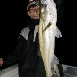 Marine T Design　マリンティーデザイン 釣果