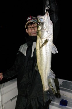 Marine T Design　マリンティーデザイン 釣果