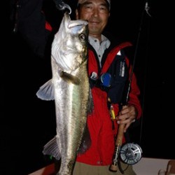 Marine T Design マリンティーデザイン 釣果