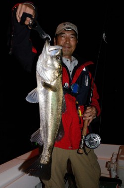 Marine T Design　マリンティ…