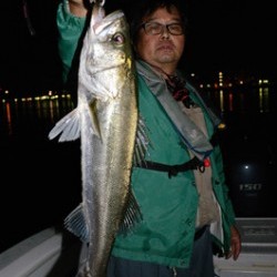 Marine T Design マリンティーデザイン 釣果