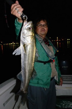 Marine T Design マリンティーデザイン 釣果