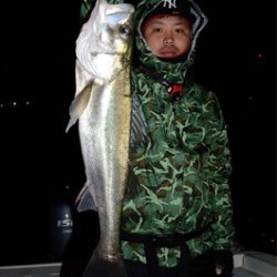 Marine T Design　マリンティーデザイン 釣果