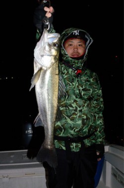 Marine T Design　マリンティーデザイン 釣果