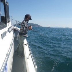 sea boss　シーボス 釣果