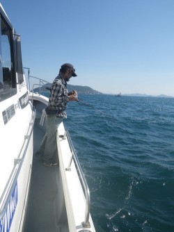 sea boss　シーボス 釣果