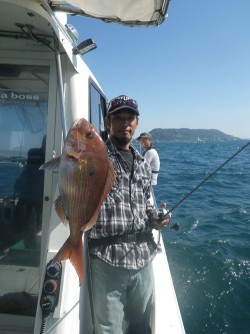 sea boss　シーボス 釣果