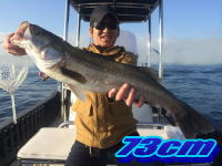 オーシャンマスター 釣果