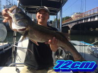 オーシャンマスター 釣果