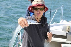 松本釣船２ 釣果