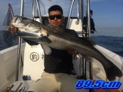 オーシャンマスター 釣果