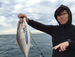 オーシャンキッズ 釣果