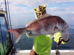 MATSUSHIMA SEANET 釣果