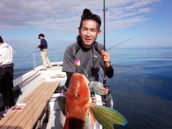 MATSUSHIMA SEANET 釣果