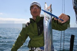 松本釣船２ 釣果