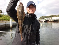 MATSUSHIMA SEANET 釣果