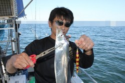 松本釣船２ 釣果