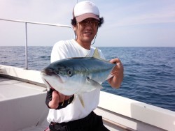 MATSUSHIMA SEANET 釣果