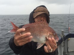 ゲームフィッシング バレントン 釣果