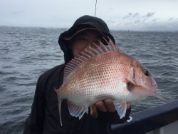 ゲームフィッシング バレントン 釣果