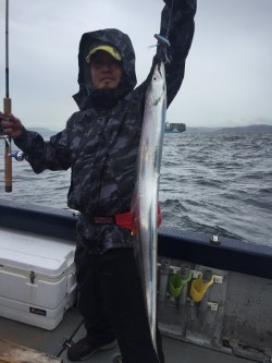 ゲームフィッシング バレントン 釣果