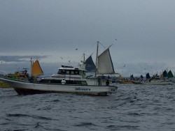 ゲームフィッシング バレントン 釣果