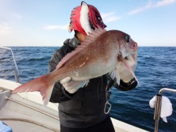 MATSUSHIMA SEANET 釣果