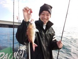 MATSUSHIMA SEANET 釣果