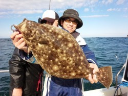 MATSUSHIMA SEANET 釣果