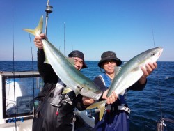 MATSUSHIMA SEANET 釣果