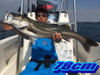 オーシャンマスター 釣果