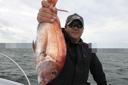 松本釣船２ 釣果