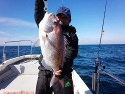 MATSUSHIMA SEANET 釣果