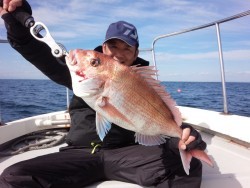 MATSUSHIMA SEANET 釣果