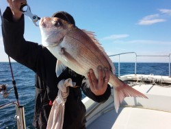 MATSUSHIMA SEANET 釣果