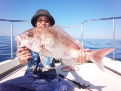 MATSUSHIMA SEANET 釣果