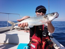 MATSUSHIMA SEANET 釣果