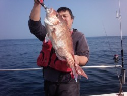 MATSUSHIMA SEANET 釣果