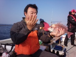 MATSUSHIMA SEANET 釣果