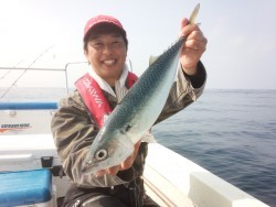 MATSUSHIMA SEANET 釣果