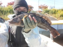 MATSUSHIMA SEANET 釣果