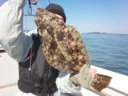 MATSUSHIMA SEANET 釣果