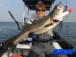 オーシャンマスター 釣果