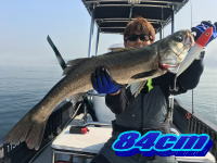 オーシャンマスター 釣果