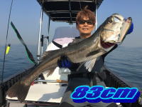 オーシャンマスター 釣果