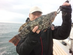 MATSUSHIMA SEANET 釣果