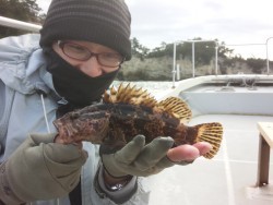 MATSUSHIMA SEANET 釣果