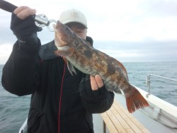 MATSUSHIMA SEANET 釣果